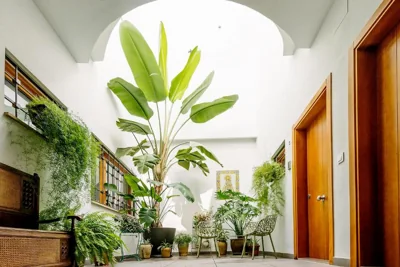 Barracart Apartments — foto 6