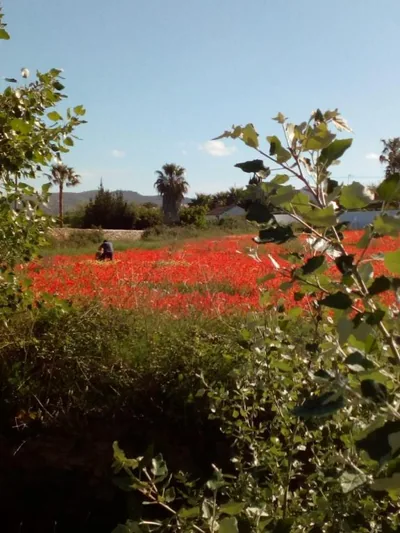 Beautiful Benissa Views — foto 5