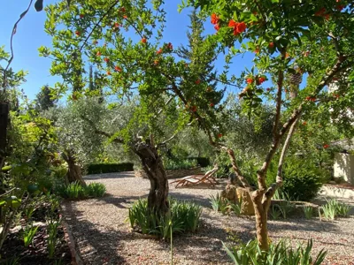 Beautiful country house near Ronda — foto 12
