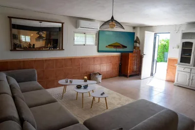Beautiful Villa with huge private pool and vineyard view — foto 7