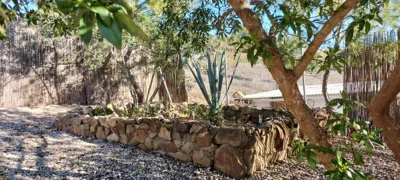 Bed & Breakfast Casa Ceratonia — foto 8