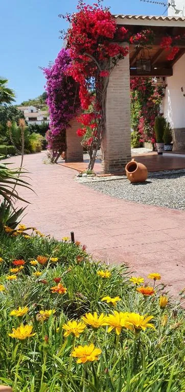 Bed & Breakfast | Guest House Casa Don Carlos — foto 10