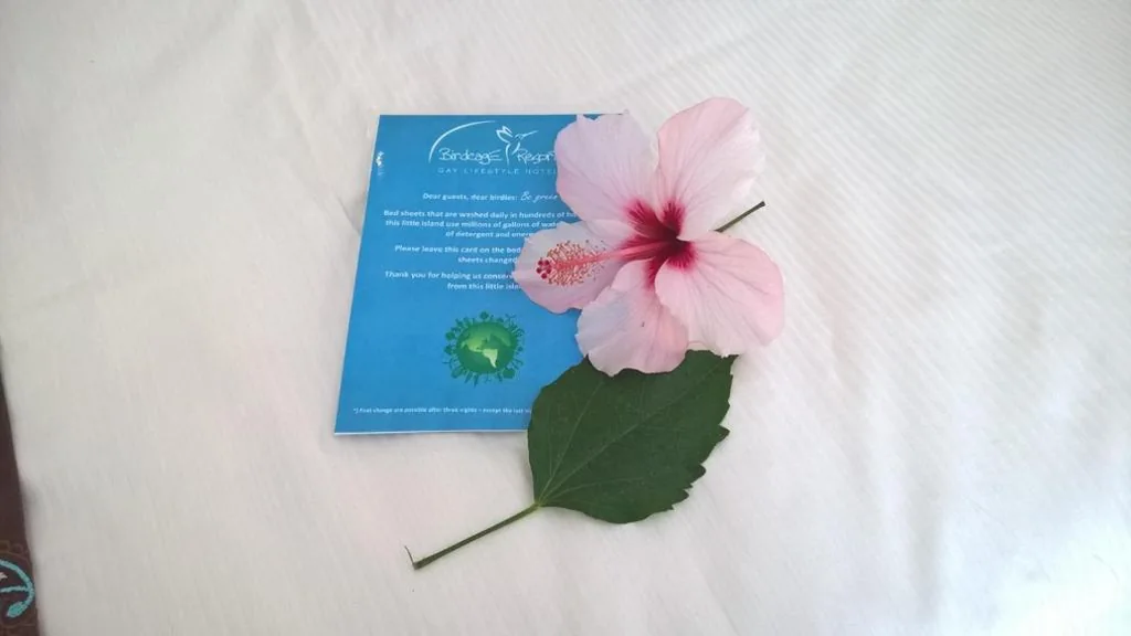 Suite Junior — Birdcage Gay Men Resort and Lifestyle Hotel