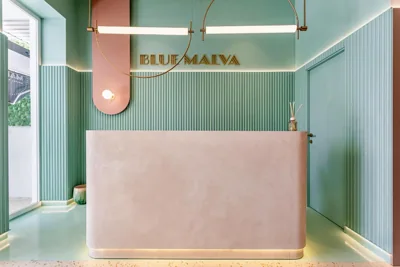Blue Malva — Foto 12