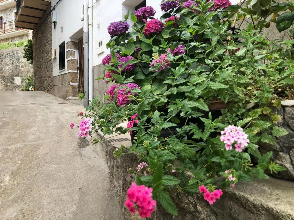 Vakantiehuis — Bodeguita del Tiétar