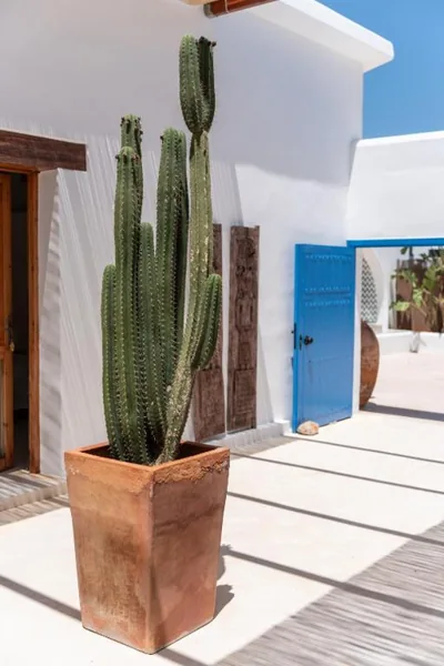Boho Suites Denia — 写真 12