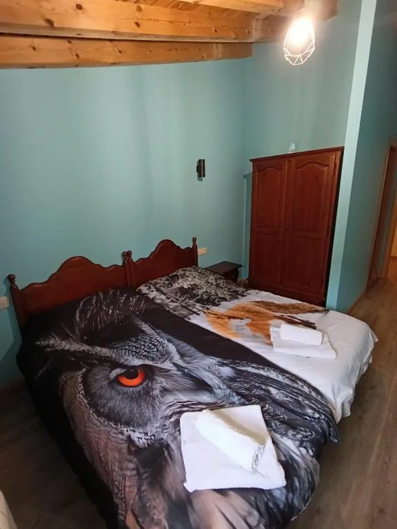 Habitación Doble con baño privado - 2 camas — Boro-Vía Láctea