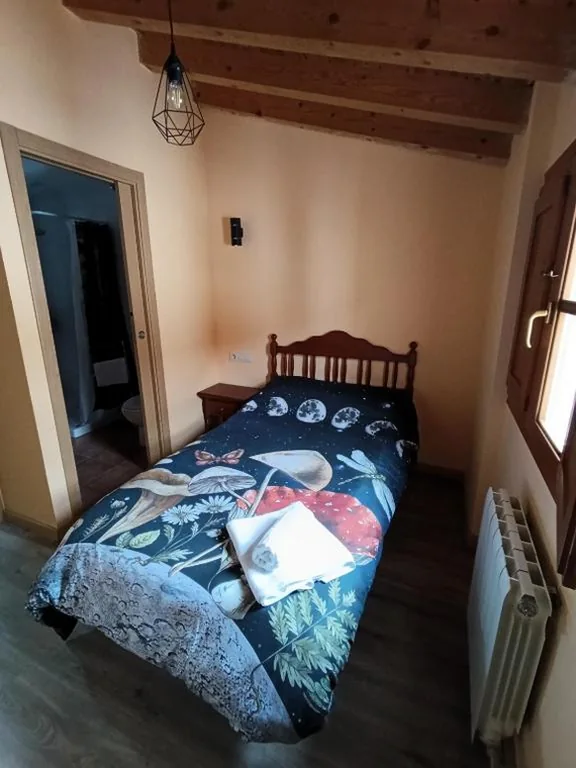 Habitación Individual con baño privado — Boro-Vía Láctea