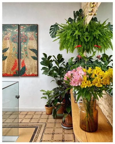 Botánico Casa Rural — foto 11