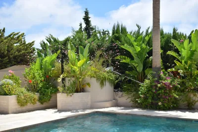 Boutique Casa Lapicida — foto 4