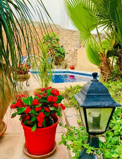 Boutique Hostal Lorca — foto 11