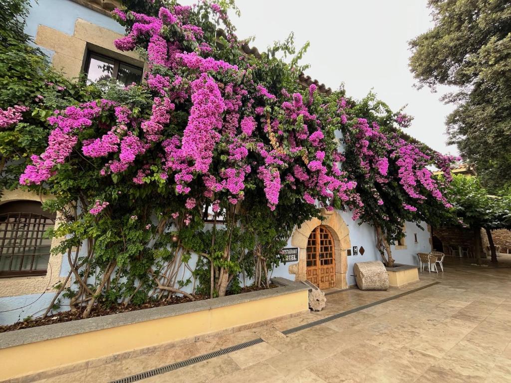 Boutique Hotel Comtal Empuries