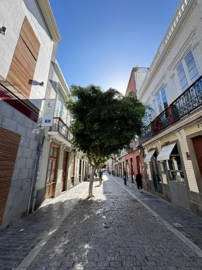Boutique Hotel Cordial Galdós Jardín — 照片 10