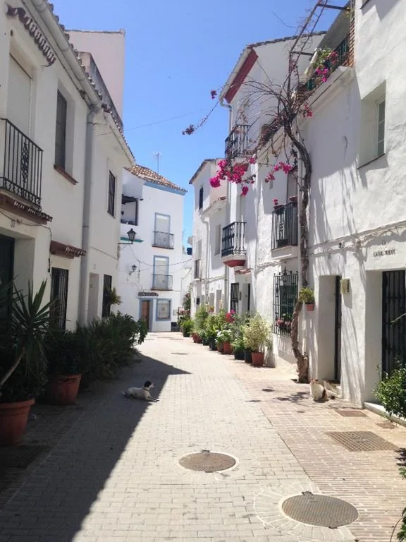Two-Bedroom Detached House — Boutique Hotel La Posada del Angel Ojén