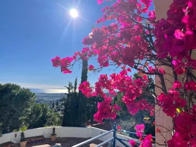 Boutique Villa Maravilla - Marbella — foto 3