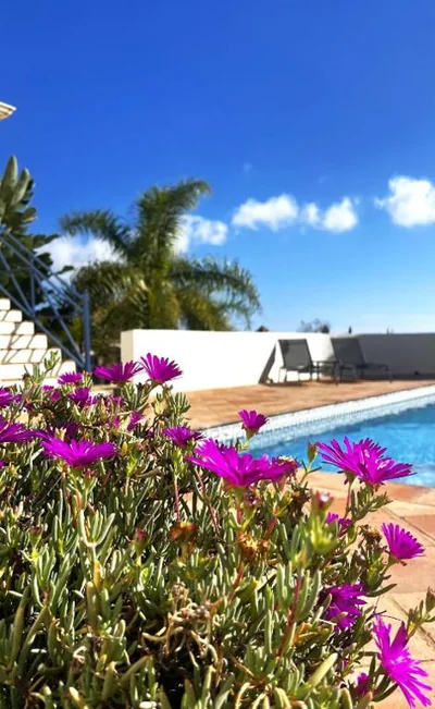 Boutique Villa Maravilla - Marbella — foto 6