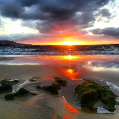 Brisamar Canteras — Foto 9