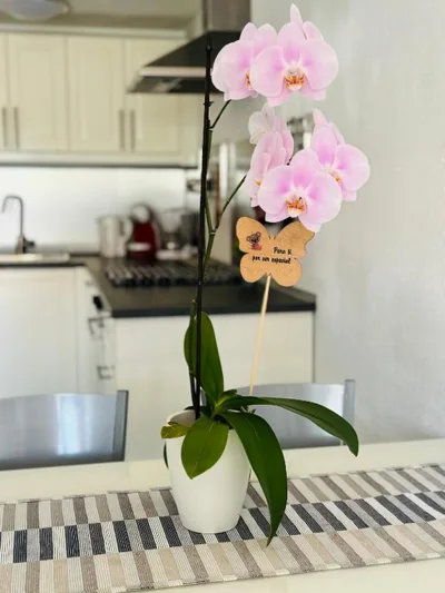 Bungalow Casita — 写真 3
