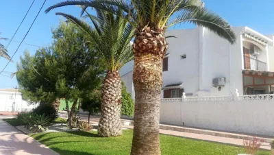Bungalow Deluxe Gran Alacant — foto 9