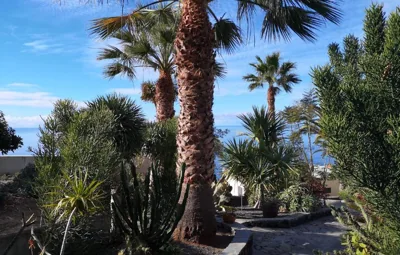 Bungalow Moijama el Drago — foto 11