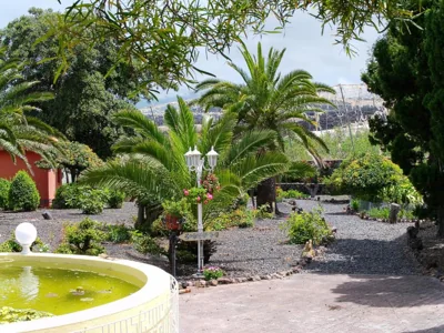 Bungalows El Paradiso — photo 12