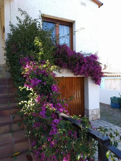CA L' ANGELINA — foto 9