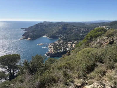 Ca la Pepa — foto 2