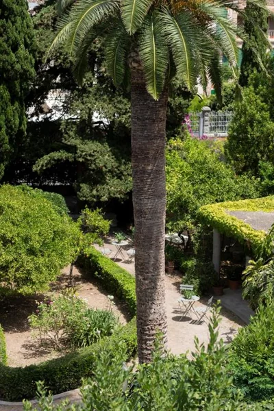 Ca'n Puig de Sòller — Foto 10