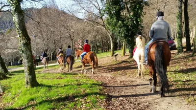 Cabañas Ecoparque Marín — foto 5
