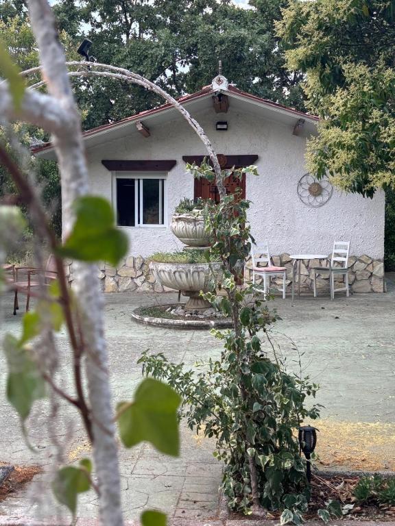 Cabañas Rústicas dentro de la Finca El Castillo