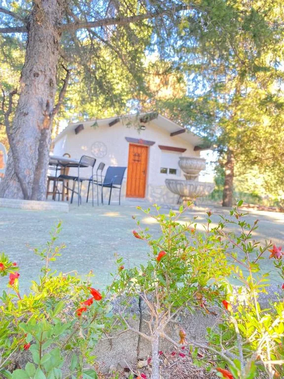 Casa con 1 dormitorio — Cabañas Rústicas dentro de la Finca El Castillo