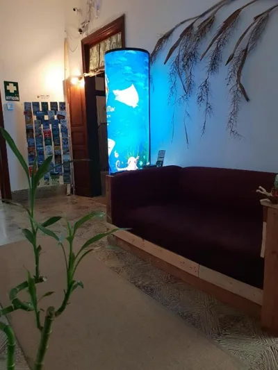 Cactus Host — foto 5