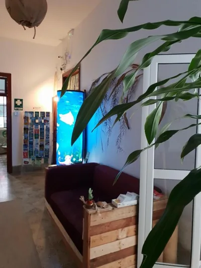 Cactus Host — foto 7