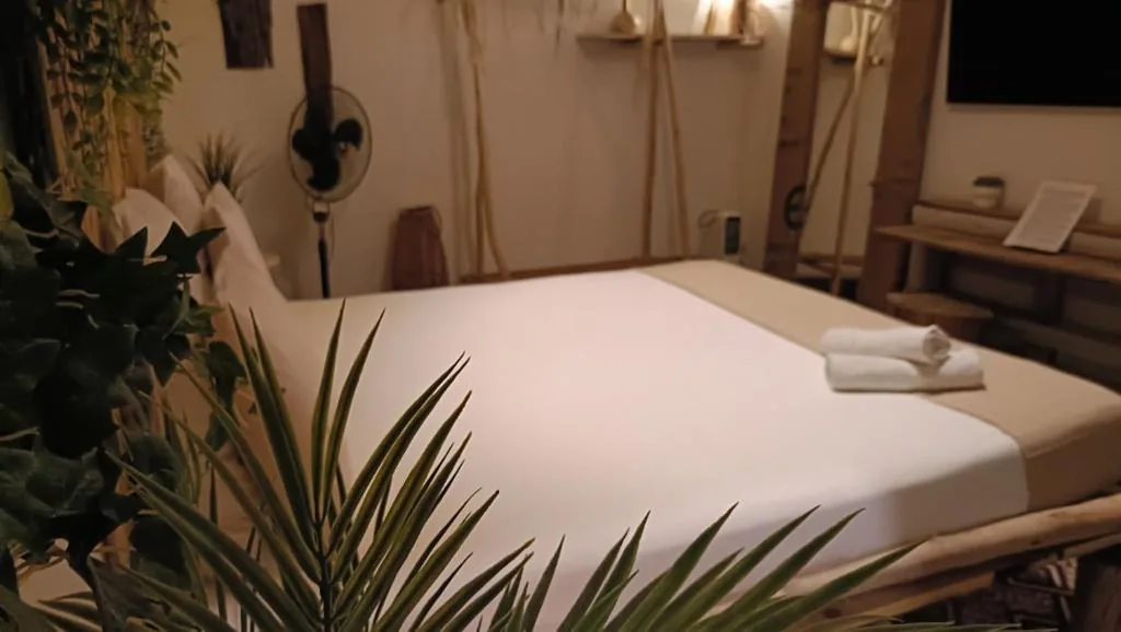 Suite — Cactus Host