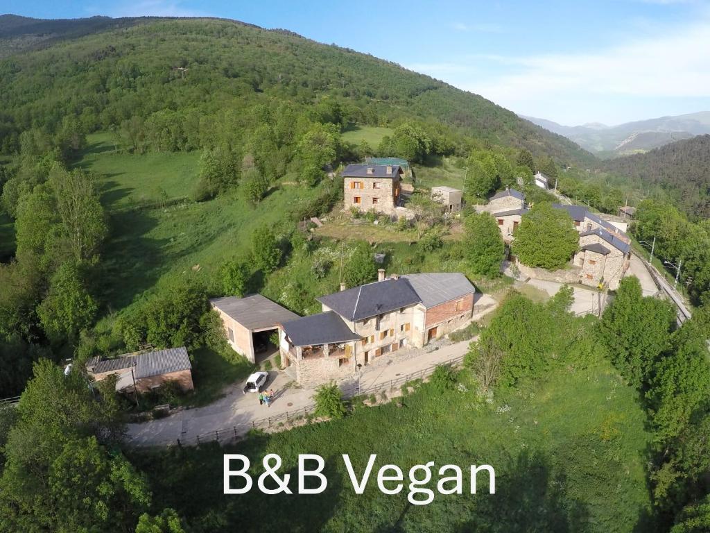 Cal Calau vegà
