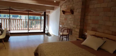 Cal Punet-Casa Bagà — photo 10
