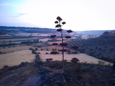 Cal Rei — foto 9
