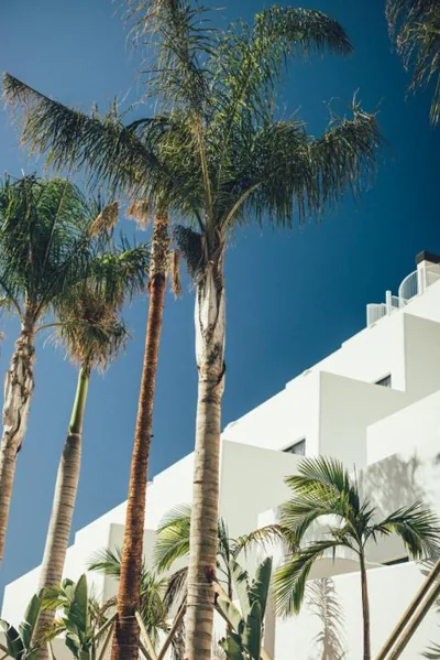Cala Lanuza Suites — photo 6