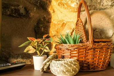 CALA VELLA Casa Vacacional RURAL — 写真 9