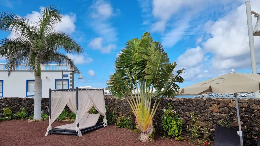 Appartement met uitzicht op zee — Caléndula Beach 1ºLinea mar