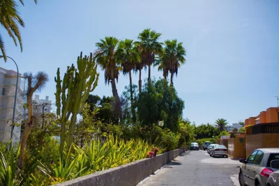 Calle Lanzarote 29C — foto 6