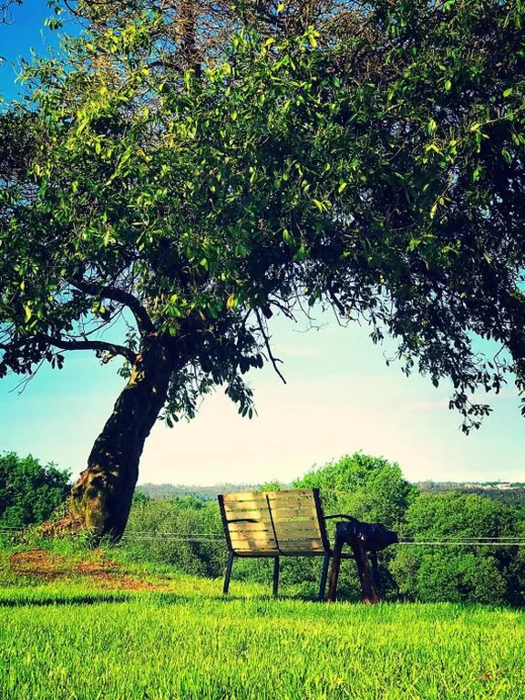 Villa mit Gartenblick — Campamento Turístico Brandoñas