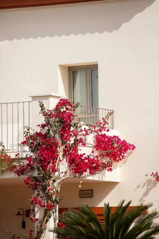 Suite Deluxe — Can Jaume by Ocean Drive
