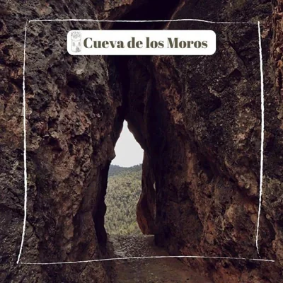 Can Mari — foto 10
