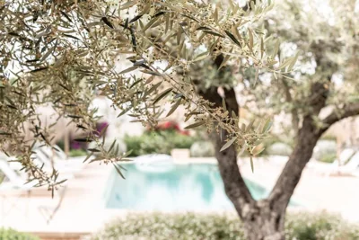 Can Sull Mallorca Guesthouse — foto 7