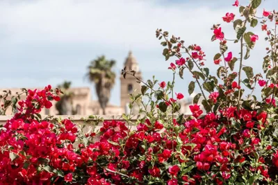 Can Sull Mallorca Guesthouse — foto 11