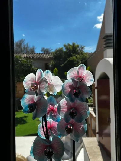 Can Vilàs — foto 12