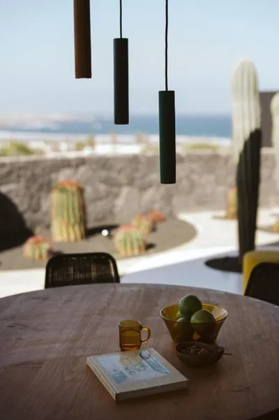 Canaryislandshost I Natural — Foto 12