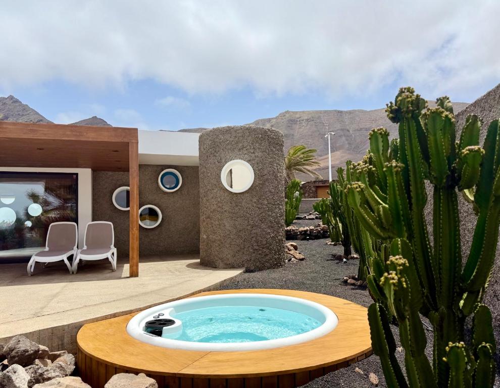 Canaryislandshost l Origen