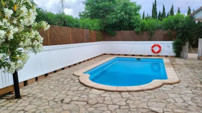 Cantarellas — Foto 12